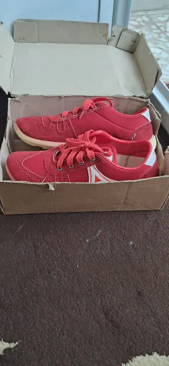 کفش|کیف، کفش، کمربند|قم, قلعه کامکار|دیوار