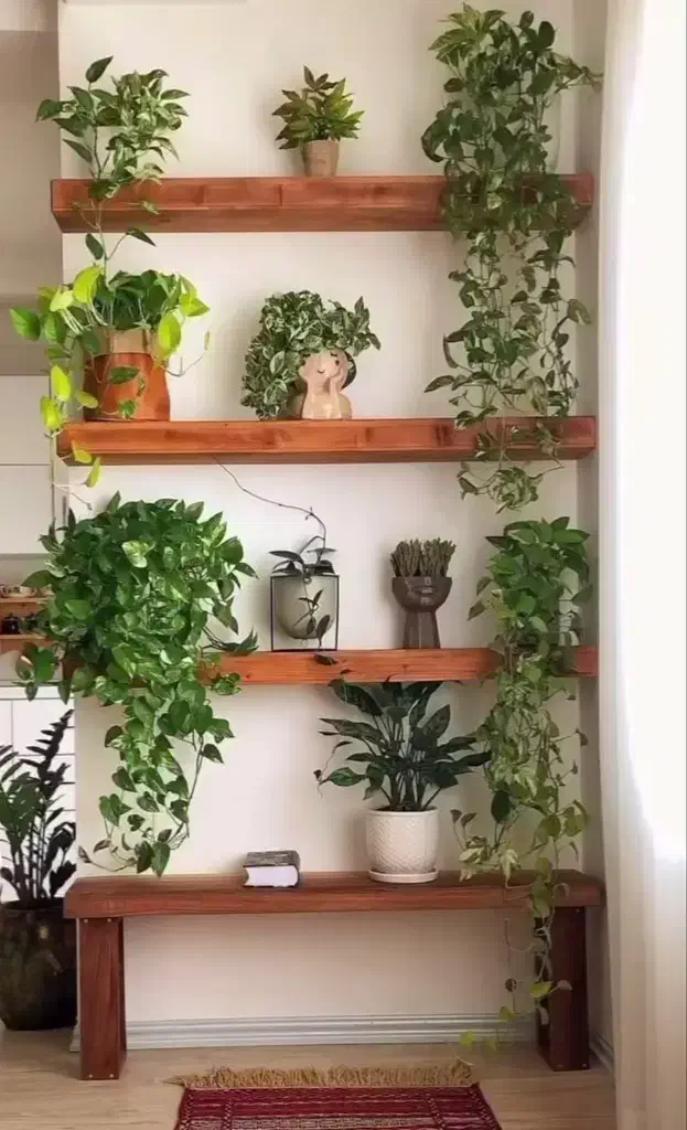 تولیدی باکس شلف زیر تلوزیون|کتابخانه، شلف، قفسههای دیواری|شیراز, اصلاحنژاد|دیوار