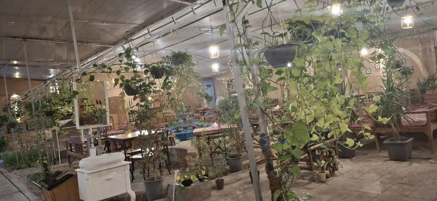 کمک آشپز فست فود|استخدام خدمات فروشگاه و رستوران|رفسنجان, |دیوار