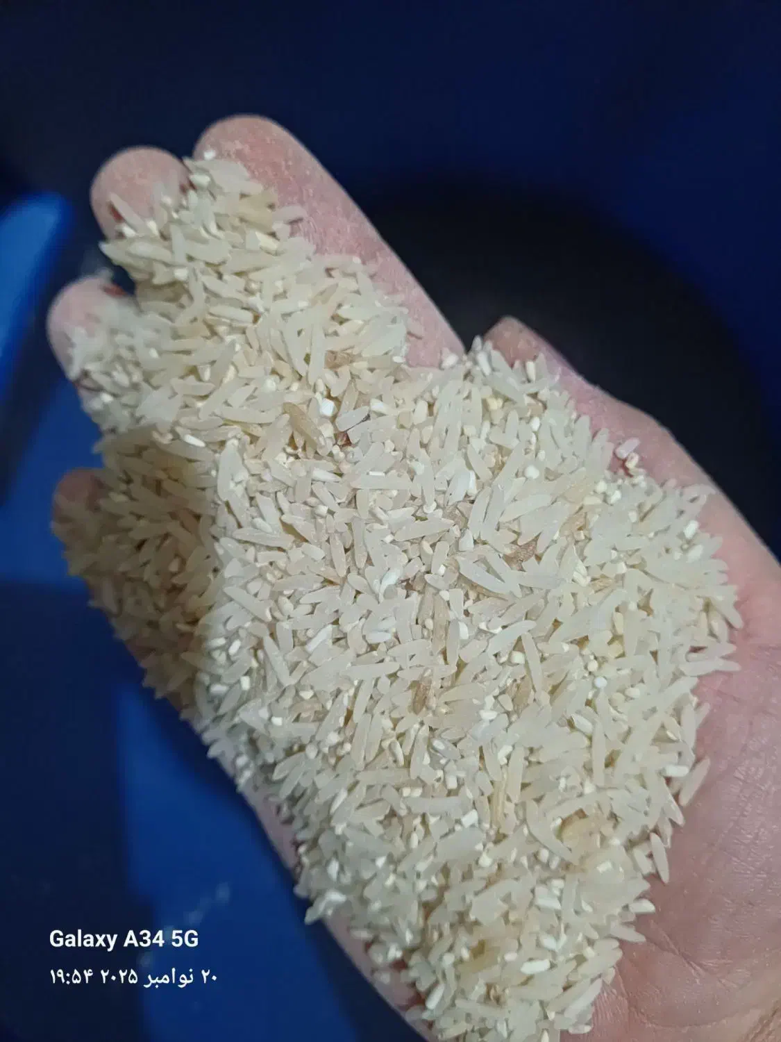 فروش برنج پارسال|خوردنی و آشامیدنی|خان ببین, |دیوار