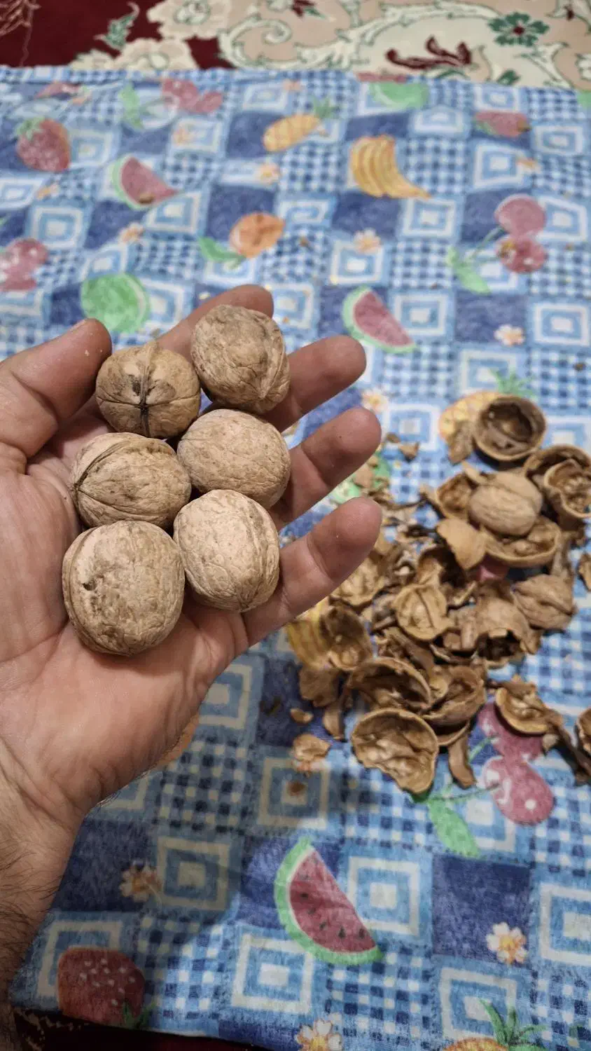 گردو محلی|خوردنی و آشامیدنی|فولادشهر, C4|دیوار