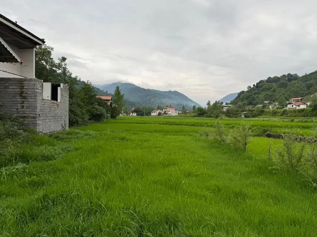 زمین مسکونی سنددار|فروش زمین و ملک کلنگی|املش, |دیوار