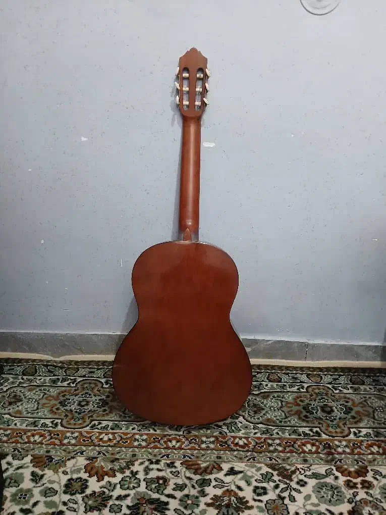 گیتار c40|گیتار، بیس، امپلیفایر|رفسنجان, |دیوار