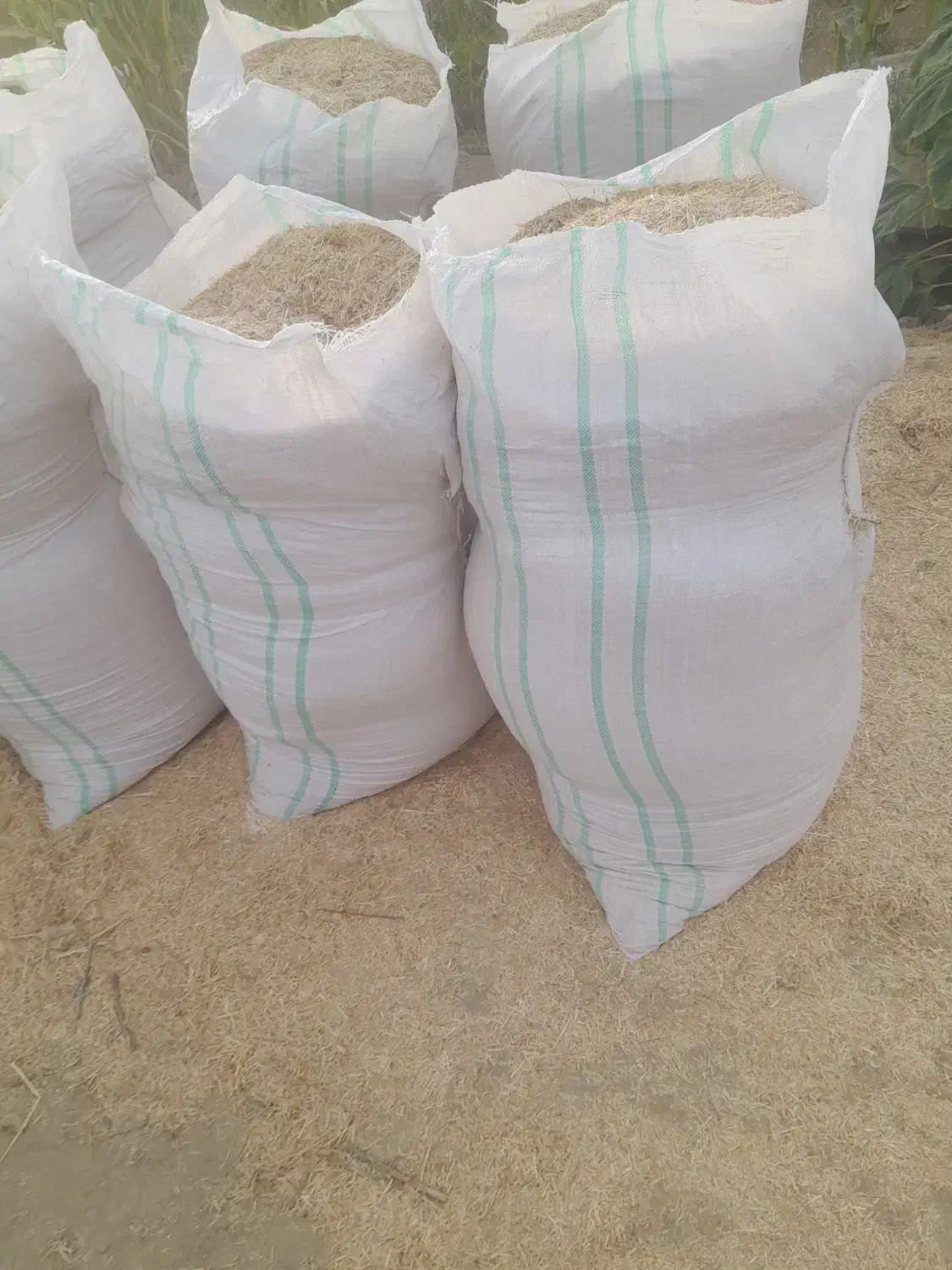 کاه نرن|لوازم جانبی حیوانات|ارزوئیه, |دیوار