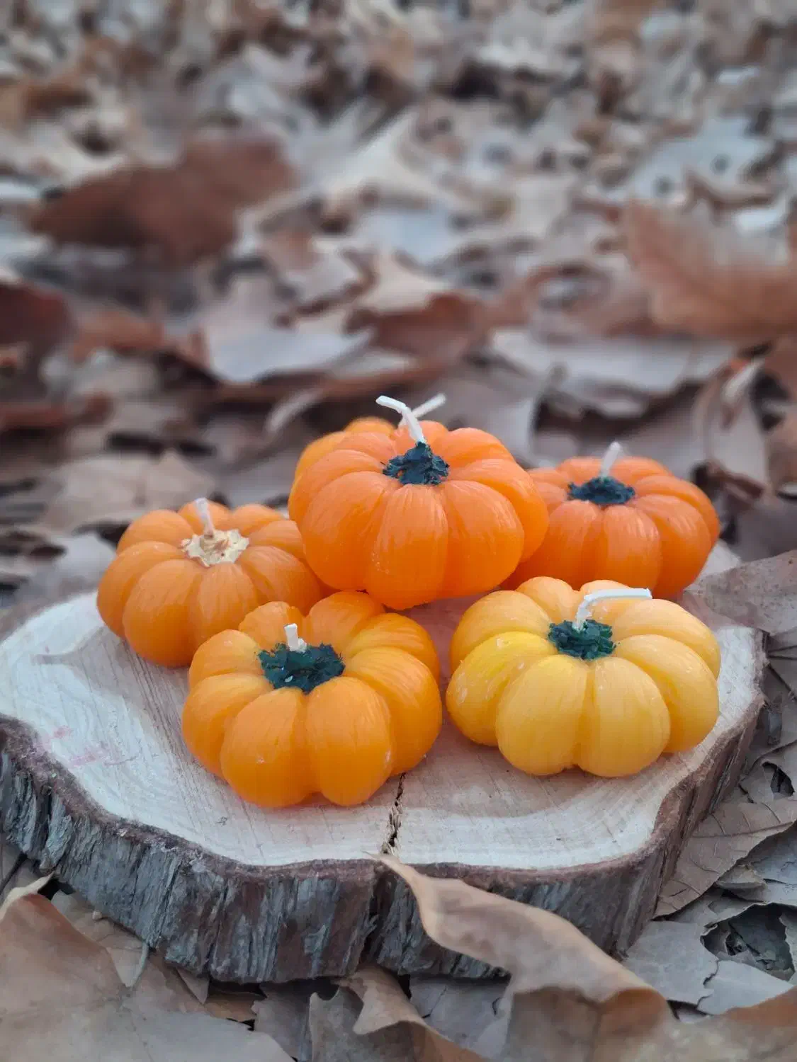 شمع یلدا|صنایع دستی و سایر لوازم تزئینی|بجنورد, |دیوار