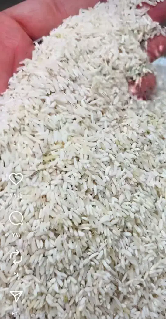 برنج ایرانی|خوردنی و آشامیدنی|سبزوار, زینبیه|دیوار