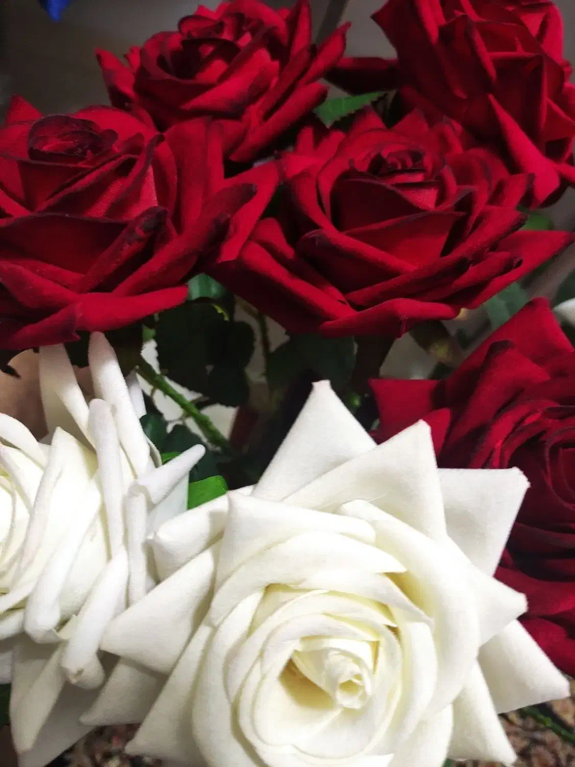 گل مصنوعی|گل مصنوعی|بوشهر, |دیوار