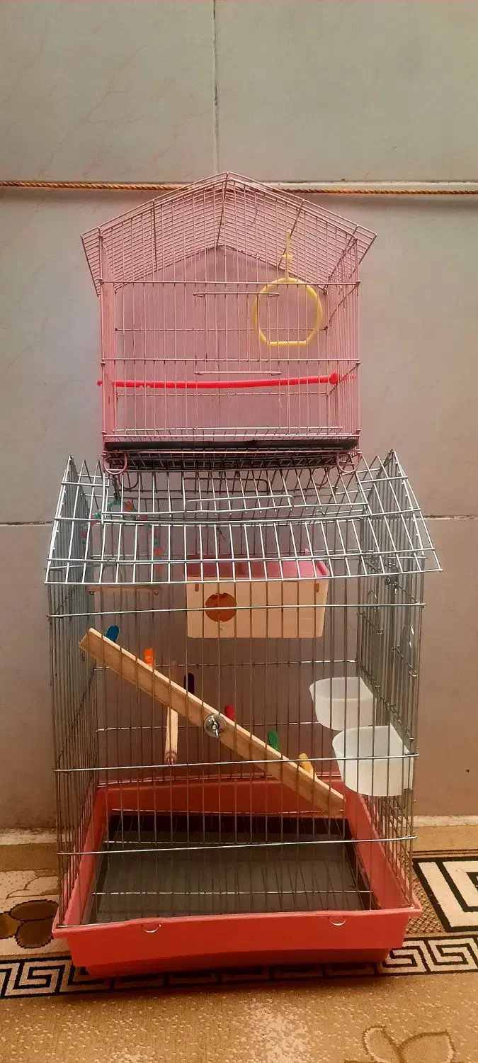 قفس پرنده|لوازم جانبی حیوانات|رشت, یخسازی|دیوار