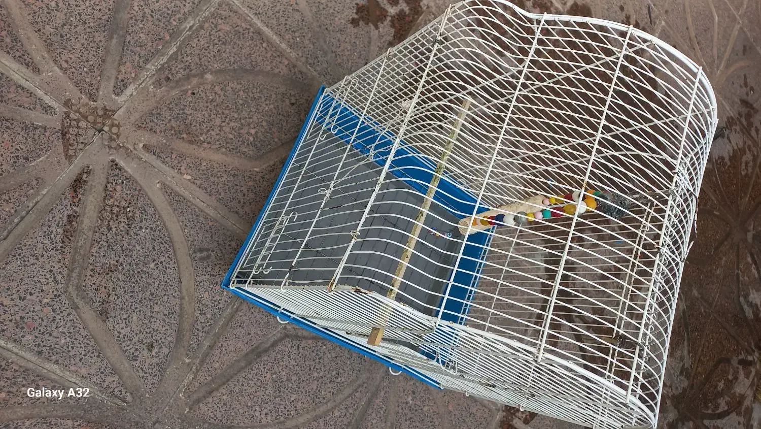 قفس سفید رنگ|لوازم جانبی حیوانات|پارسآباد, |دیوار