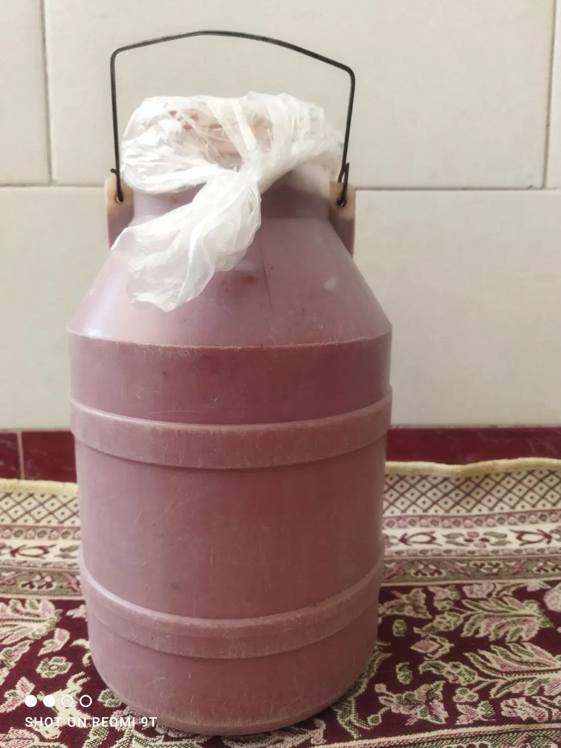 7کیلوی|حیوانات مزرعه|نیشابور, دربقاضی|دیوار