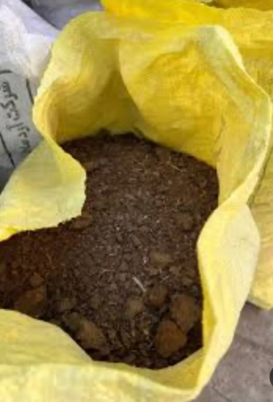 کودگاوی خشک بدون خاک اره|لوازم جانبی حیوانات|ماسال, |دیوار