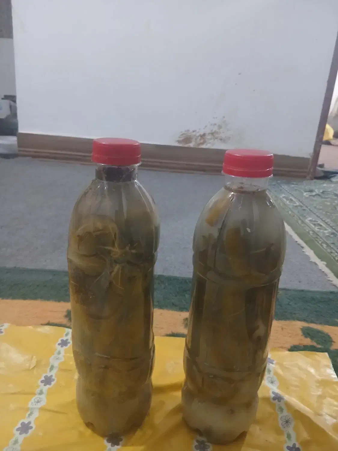 خیار‌شور‌بروجرد|خوردنی و آشامیدنی|بیرانوند, |دیوار