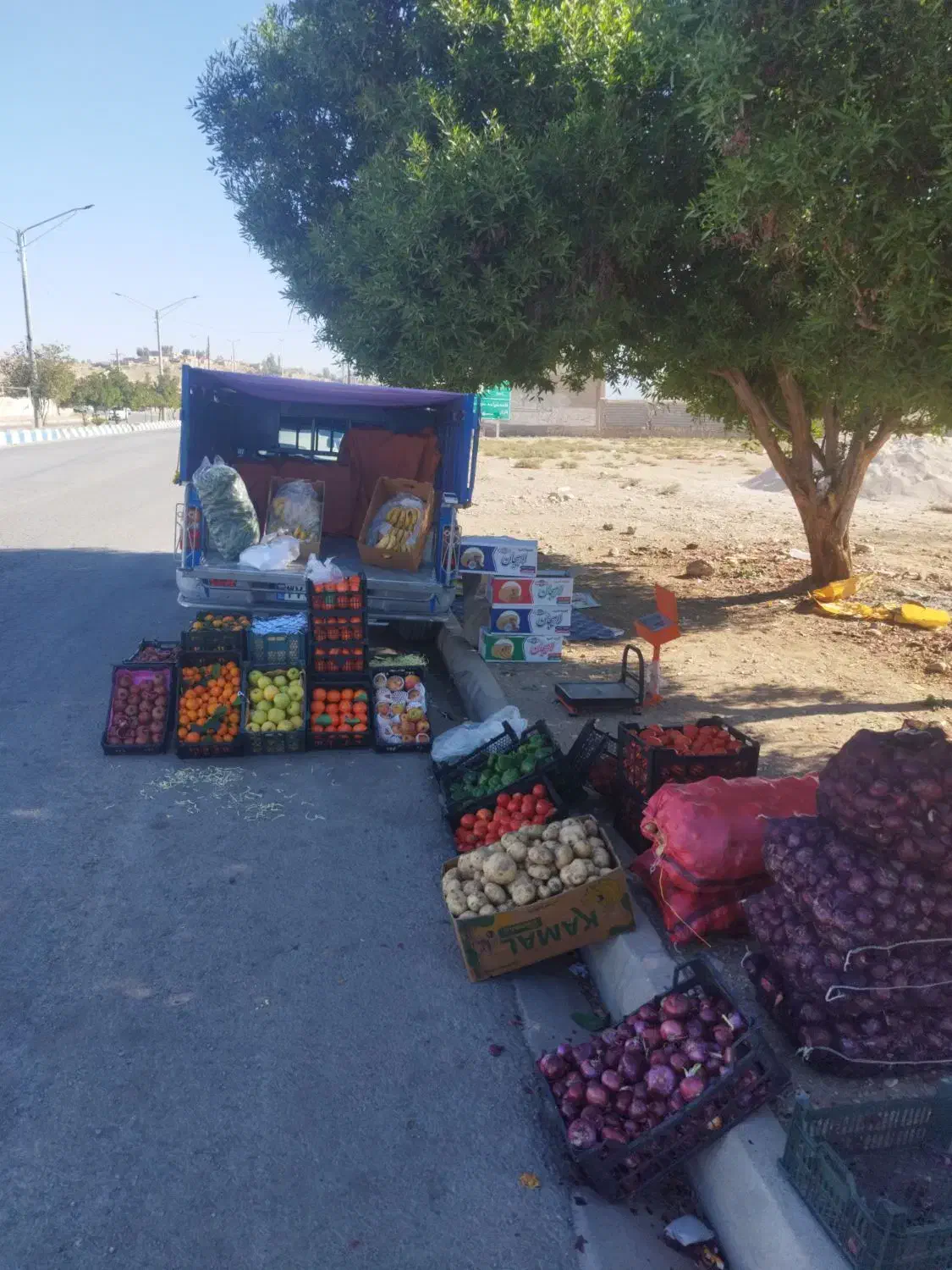 میوه وتر بار  قیمت شکن|عمده‌فروشی|اندیکا, |دیوار