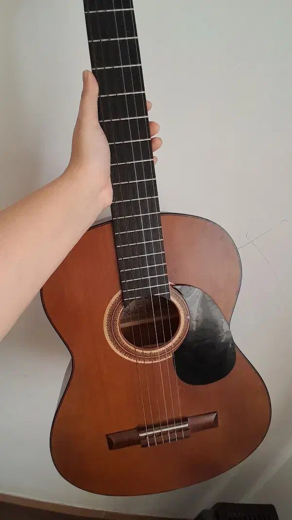 فروش گیتار در حد نو|گیتار، بیس، امپلیفایر|سیاهکل, |دیوار