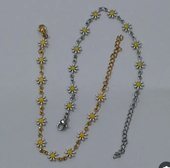 بدلیجات رنگ ثابت|بدلیجات|چهارباغ, |دیوار