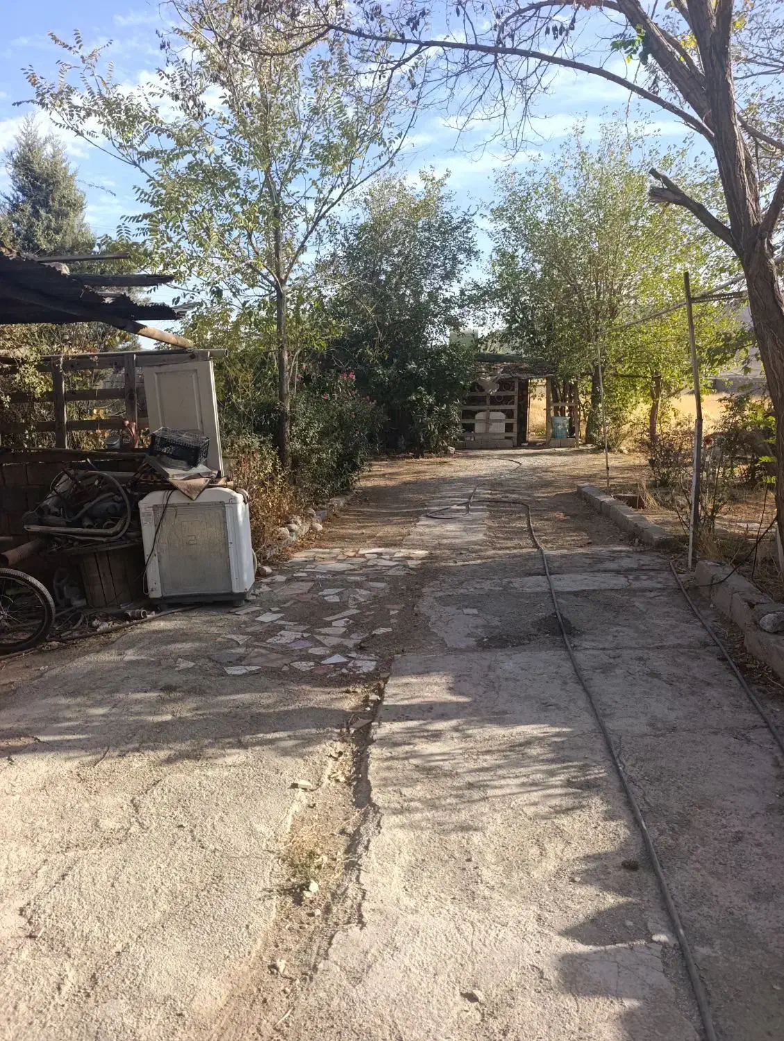 فروش 5250متر گلخانه بر اتوبان جاده بیستون|فروش دفتر صنعتی، کشاورزی، تجاری|کرمانشاه, |دیوار