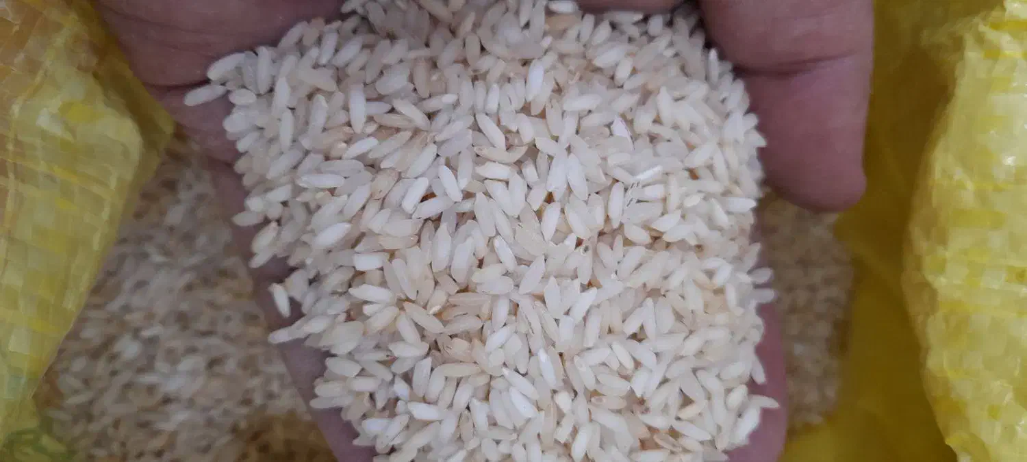 برنج عنبر درجه دو (زرده)|خوردنی و آشامیدنی|اهواز, کمپلو جنوبی|دیوار