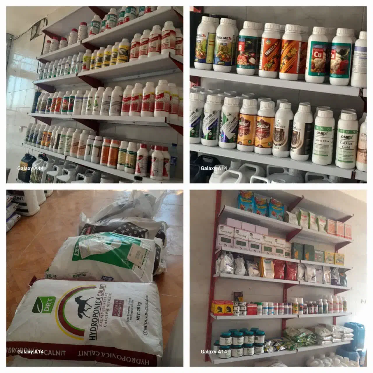 گیاهپزشکی|خدمات باغبانی و درختکاری|اصفهان, خواجو|دیوار