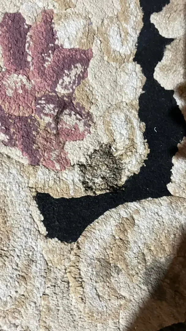 دوعددفرش۱۲متری|فرش|شاهین‌شهر, حافظ جنوبی|دیوار