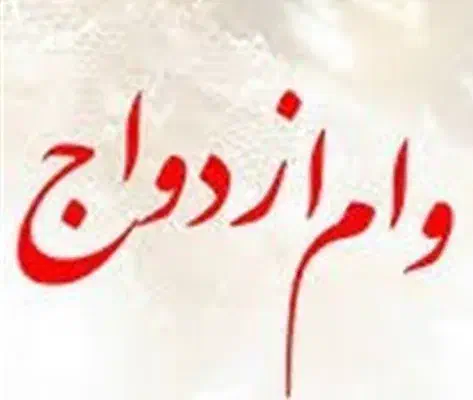 ضامن کارمند نیازم|خدمات مالی، حسابداری، بیمه|شهرضا, |دیوار