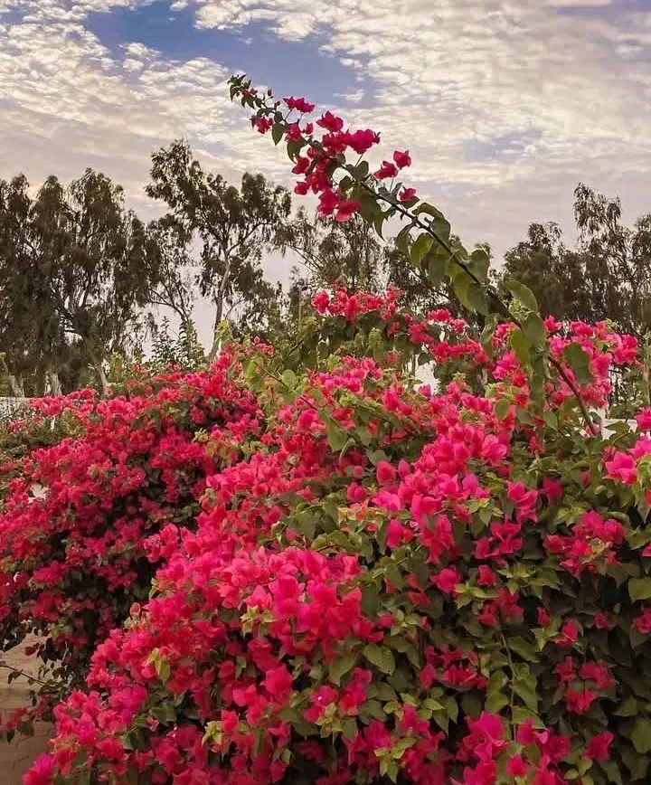 ماهدشت خدایارخان اول پشت بر۴۰۰متر لوکیشن تاپ وبرند|فروش خانه و ویلا|ماهدشت, |دیوار