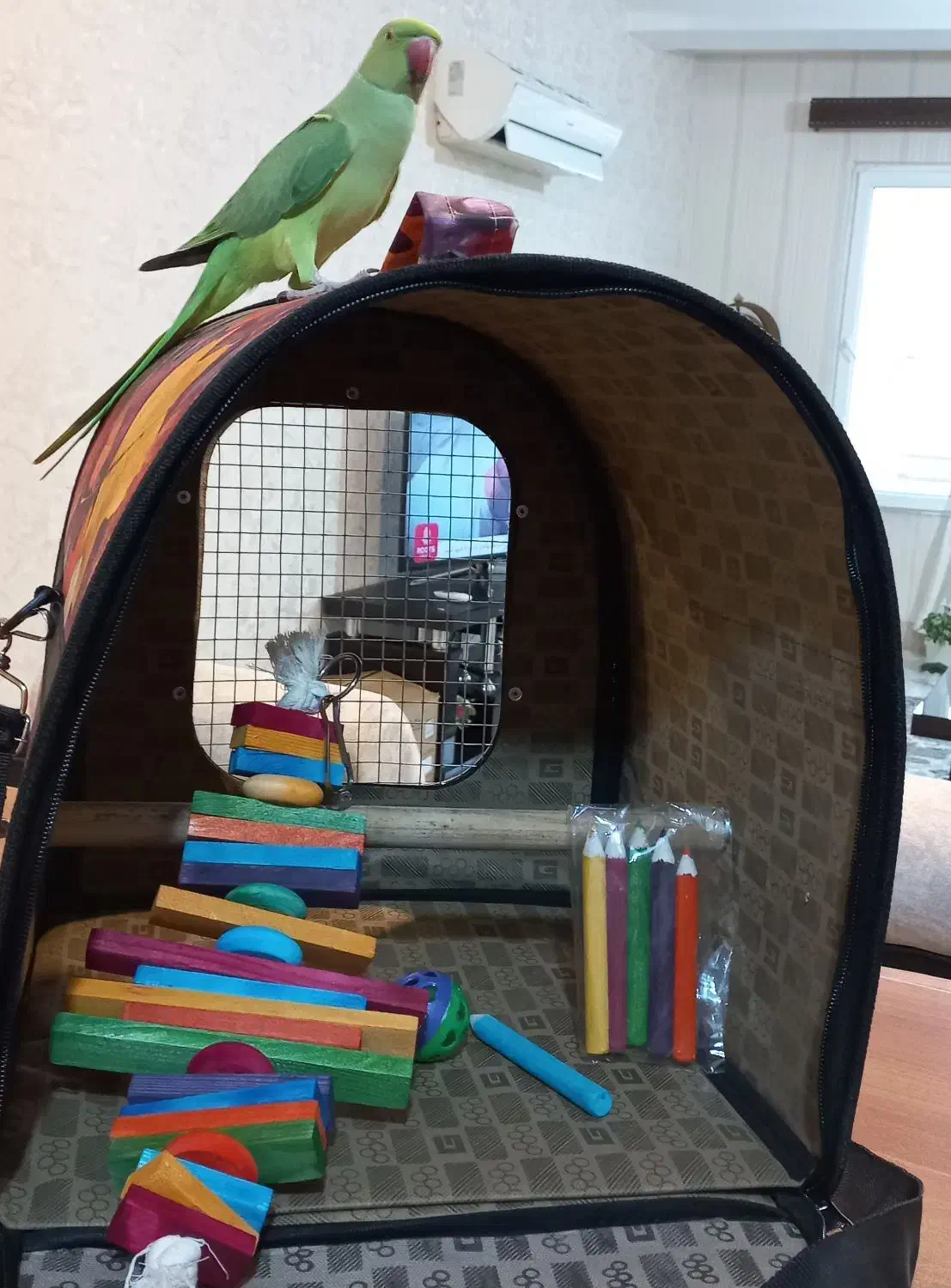 کیف حمل طوطی|لوازم جانبی حیوانات|بابلسر, |دیوار