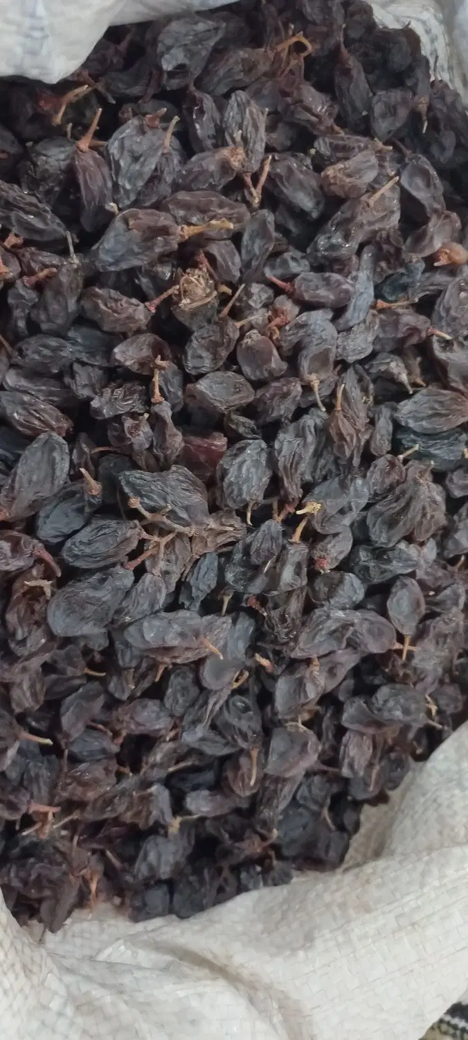 مویز|خوردنی و آشامیدنی|کازرون, |دیوار