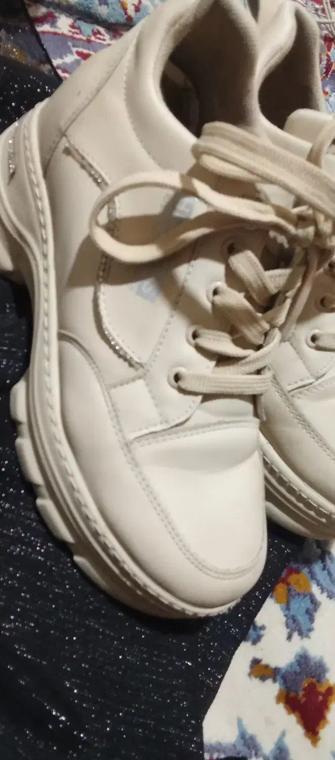 کفش|کیف، کفش، کمربند|زاهدان, |دیوار