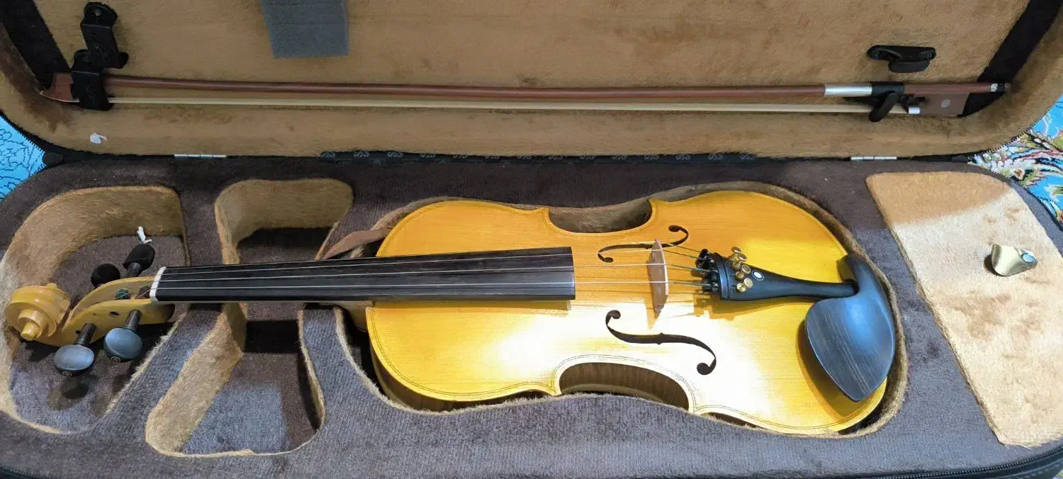 ویلن|ویولن|شیراز, شهرک قمشه|دیوار