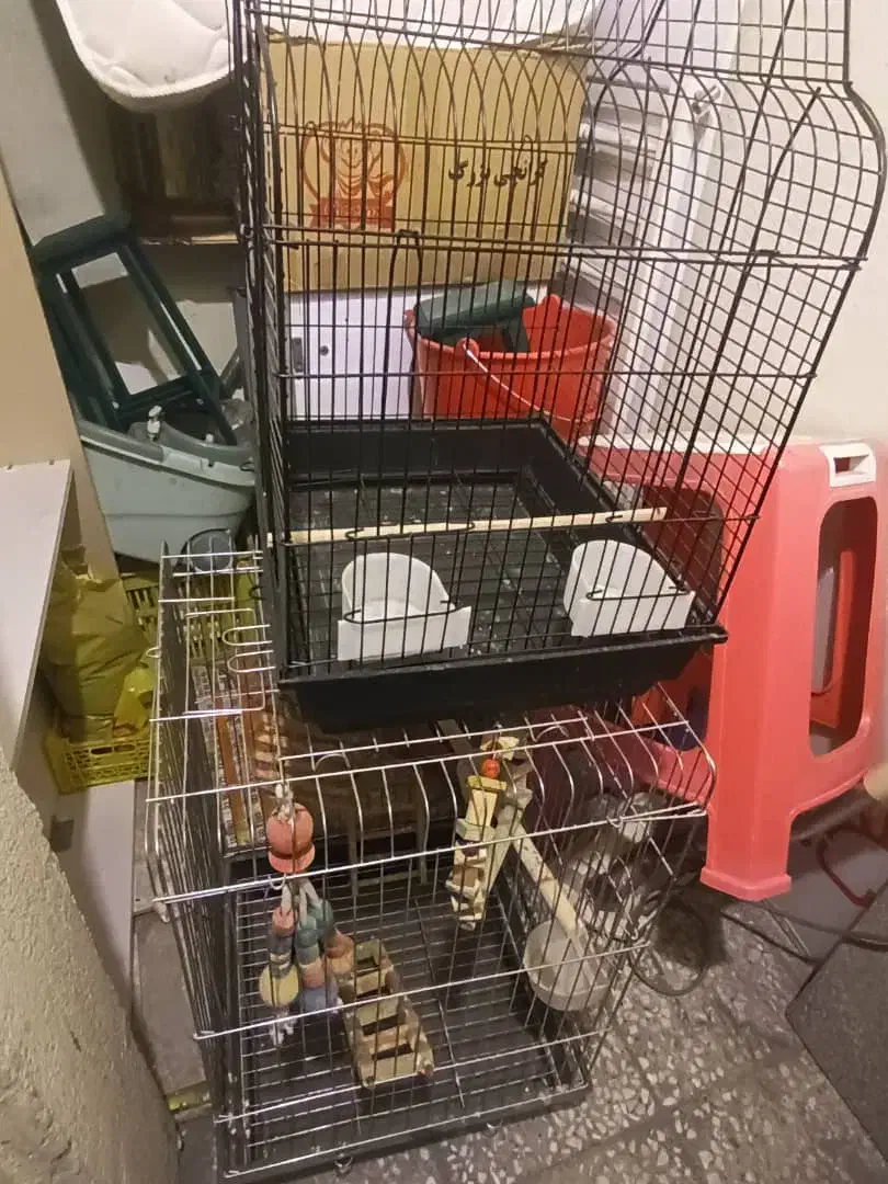 دو عدد قفس|لوازم جانبی حیوانات|تهران, شهرک بوعلی|دیوار