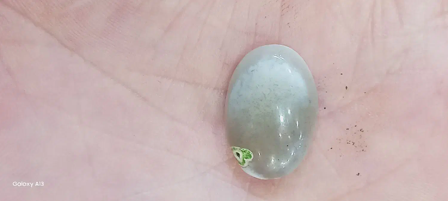 آمیتیست قدیمی.شجرسلیمانی موکلدار.عقیق سلیمانی .یشم|کلکسیون اشیاء عتیقه|بندر گناوه, |دیوار