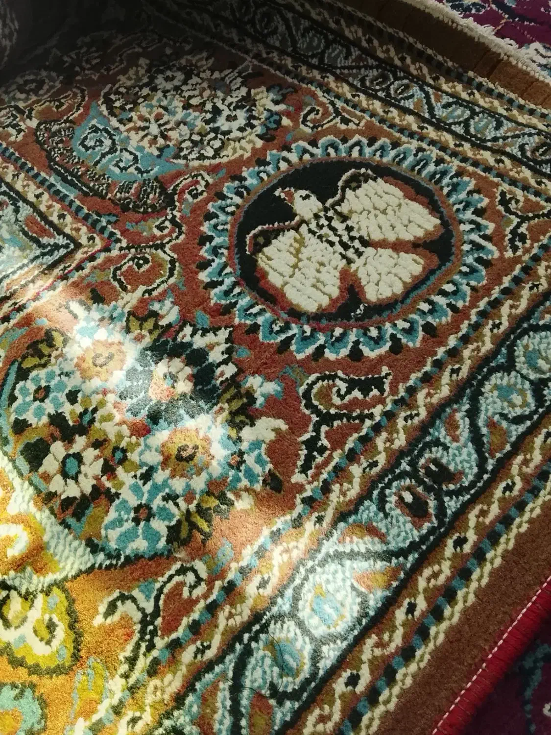 فرش 12متری|فرش|تربت جام, جامی|دیوار