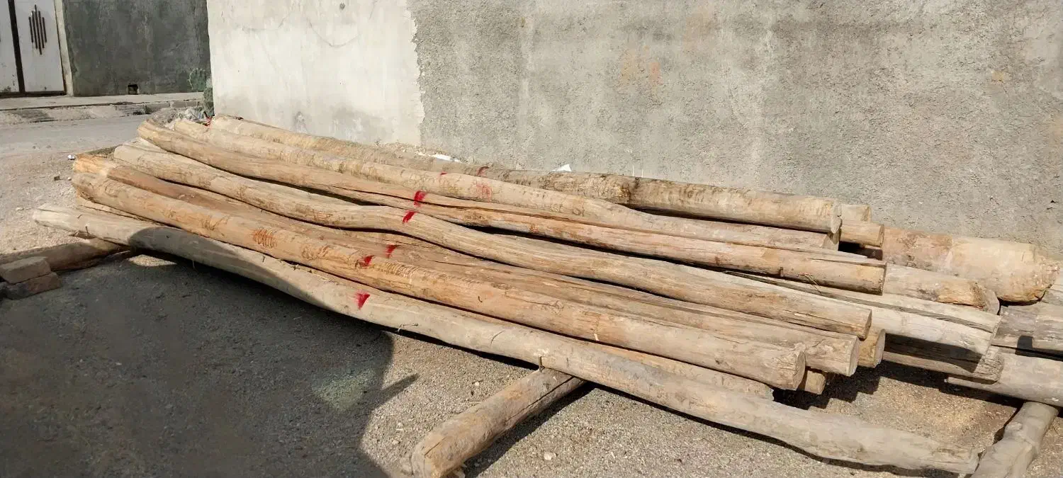 خرید و فروش انواع چوب و تخته چوب وچنار سقفی|عمدهفروشی|کوزران, |دیوار