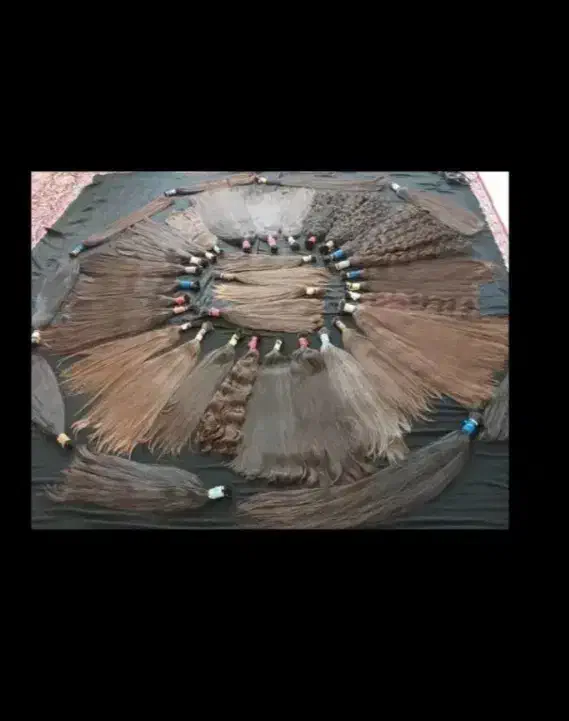 موی بلند|آرایشی، بهداشتی، درمانی|تیمور آباد, |دیوار