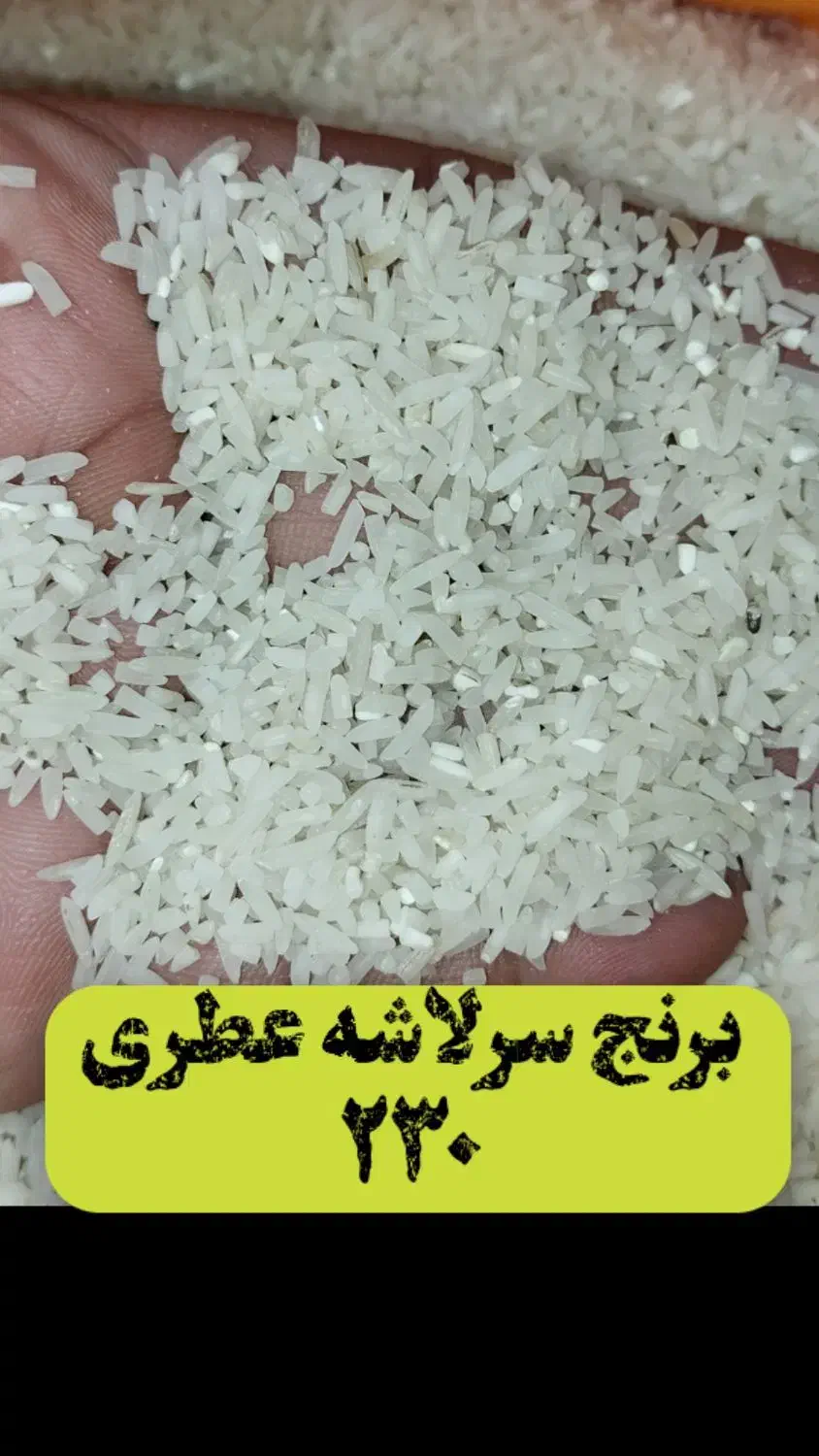 برنج سرلاشه طارم معطر ۲۳۰ هزار تومان|خوردنی و آشامیدنی|مشهد, شهرک رازی (شهرک غرب)|دیوار