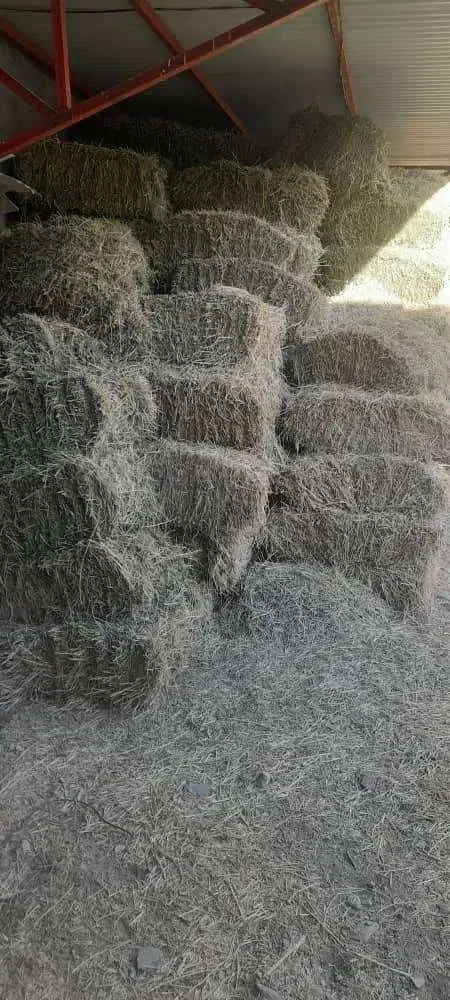 یونجه خشک|لوازم جانبی حیوانات|هشترود, |دیوار