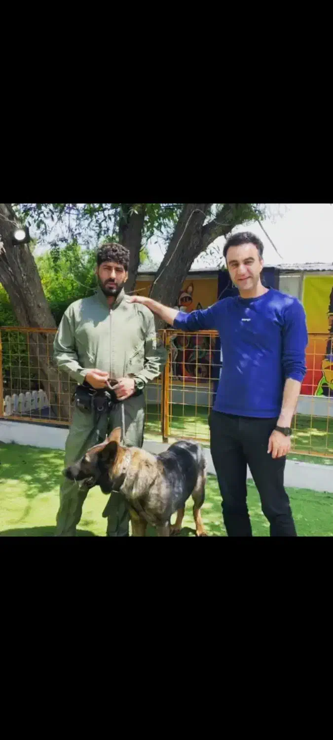 مربی سگ|خدمات آموزشی|کرج, گلشهر|دیوار