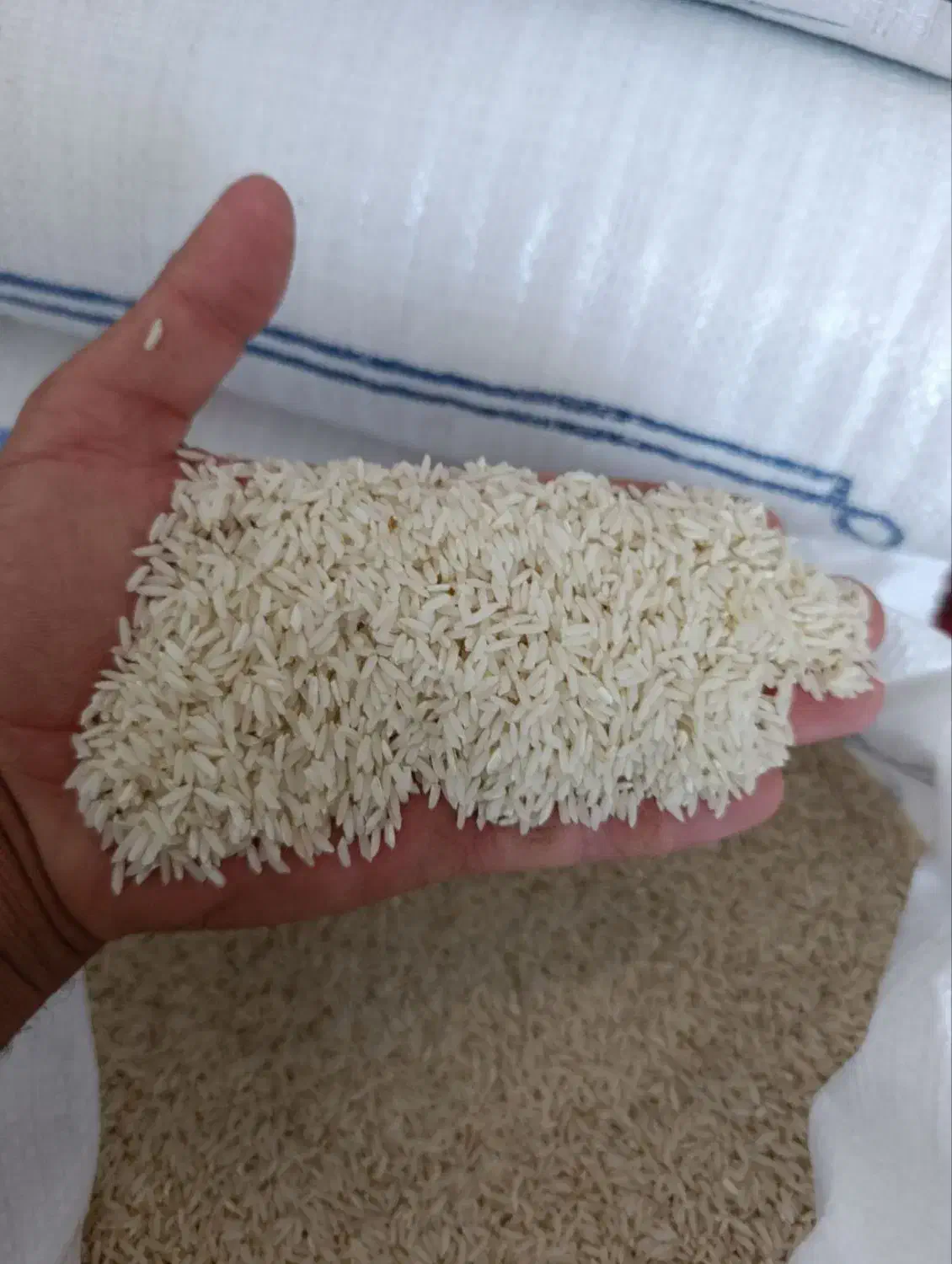 برنج علی کاظمی درجه یک|عمده‌فروشی|میانه, |دیوار