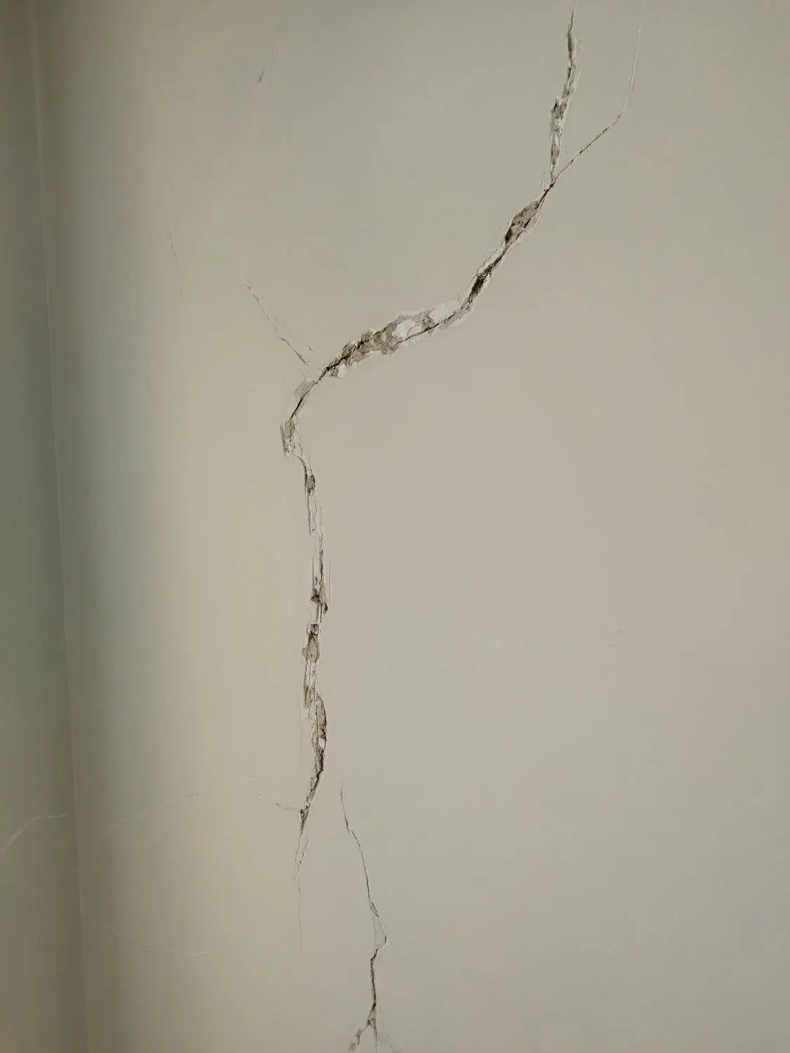 نقاشی ساختمان رنگارنگ در تمام نقاط البرز و فردیس|خدمات پیشه و مهارت|کرج, شهرک فهمیده|دیوار