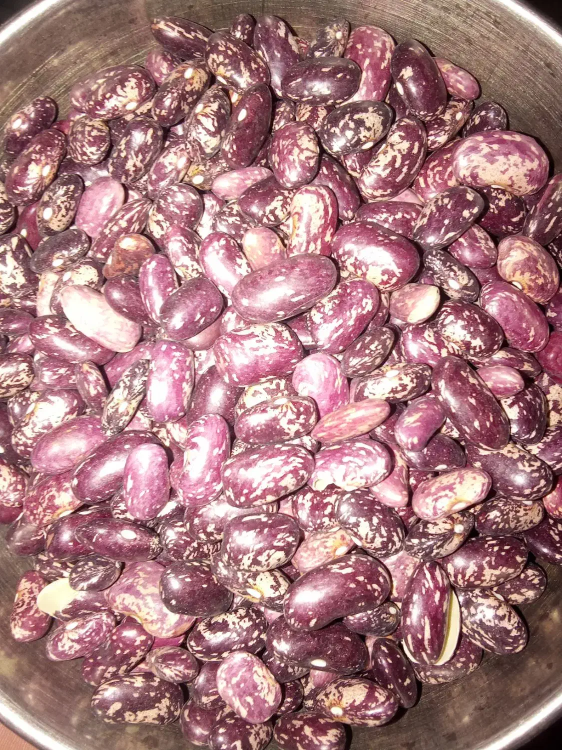 حبوبات تازه|حراج|پاکدشت, پاکدشت (مامازند)|دیوار