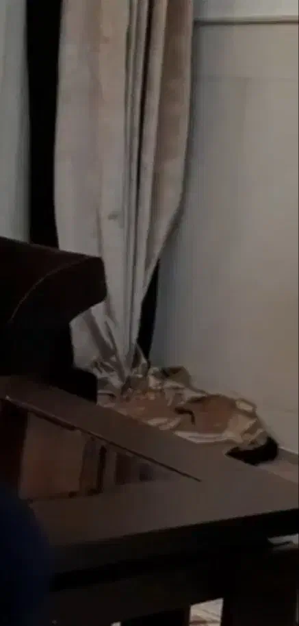 والان مخمل شانل|پرده، رانر، رومیزی|قم, حنیف نژاد|دیوار