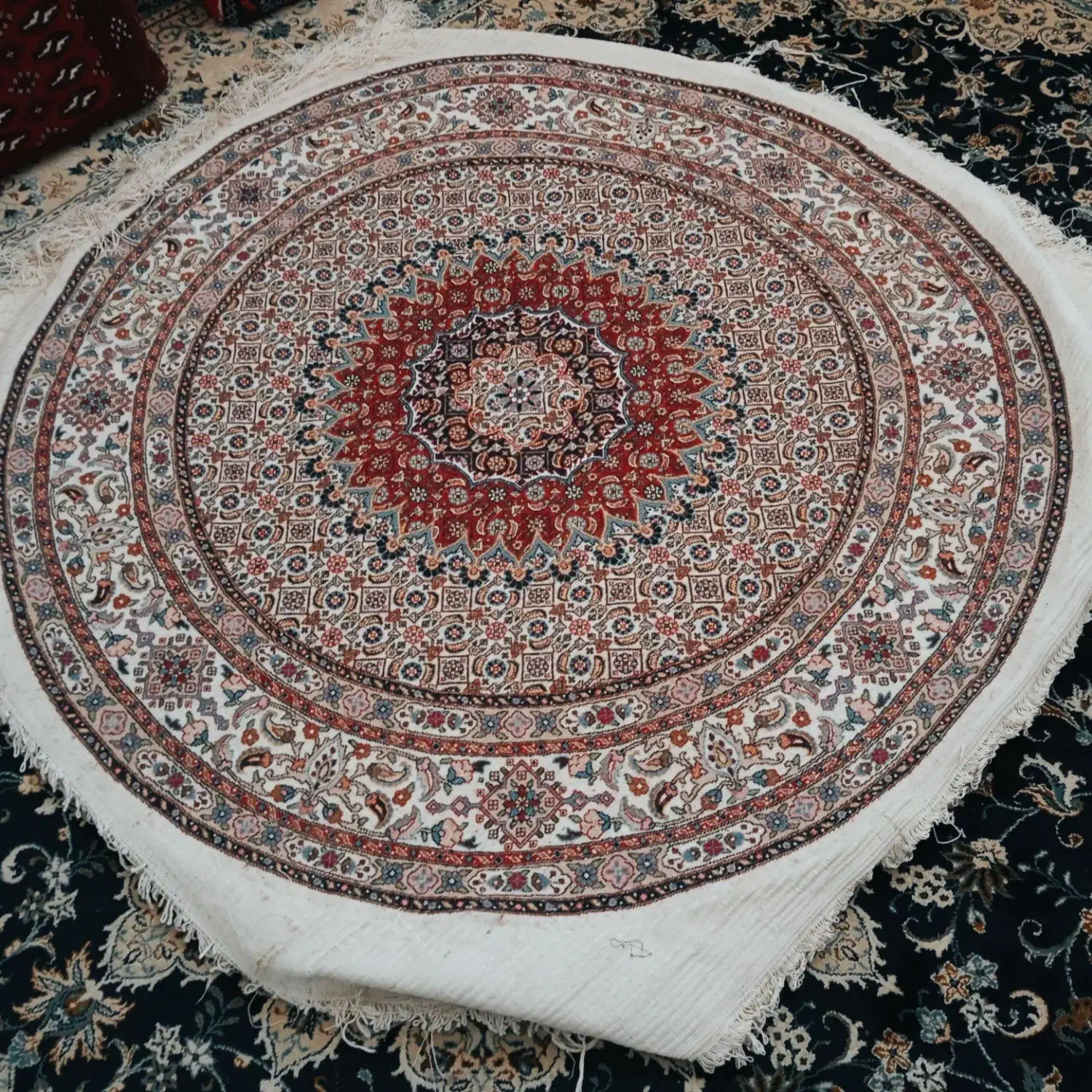 فرش گرد|فرش|بیرجند, |دیوار