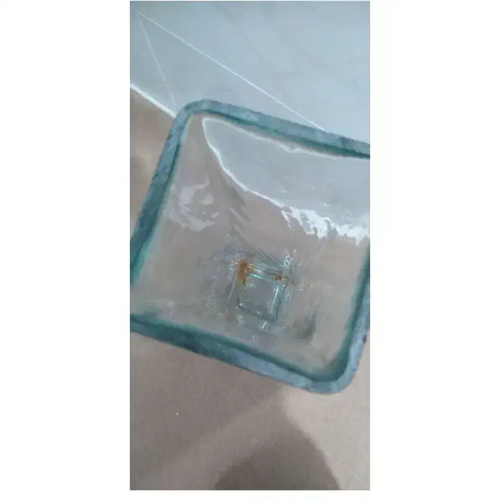 گلدان بامبو|گل و گیاه طبیعی|بابل, |دیوار