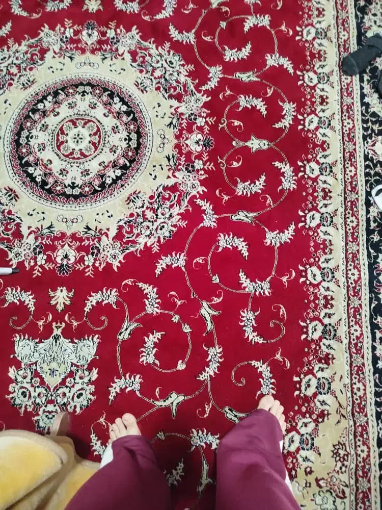 فرش فروش|فرش|مرودشت, تامین اجتماعی‎|دیوار