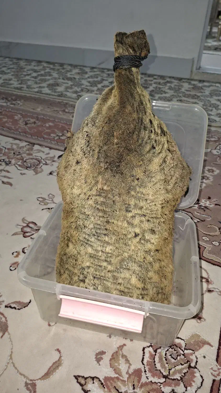 هیزه|ظروف نگهدارنده، پلاستیکی، یک‌بارمصرف|کوهدشت, |دیوار