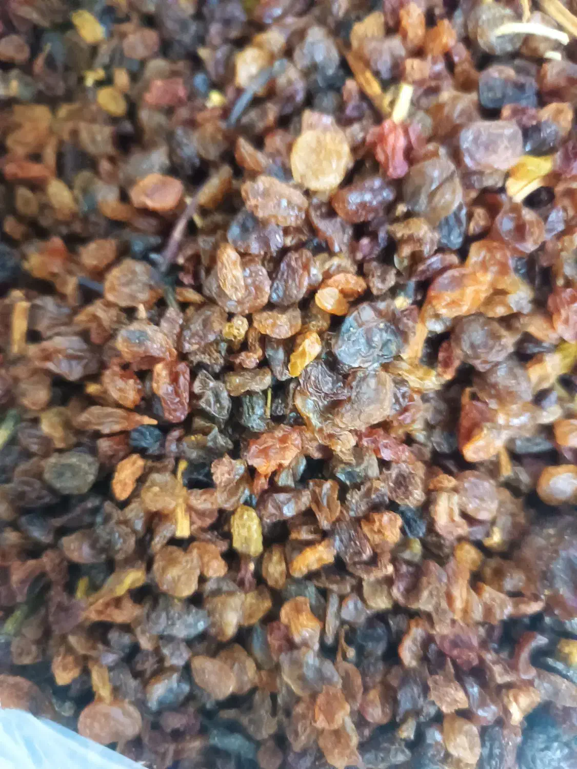 کشمش اعلا|خوردنی و آشامیدنی|قم, نیروگاه|دیوار