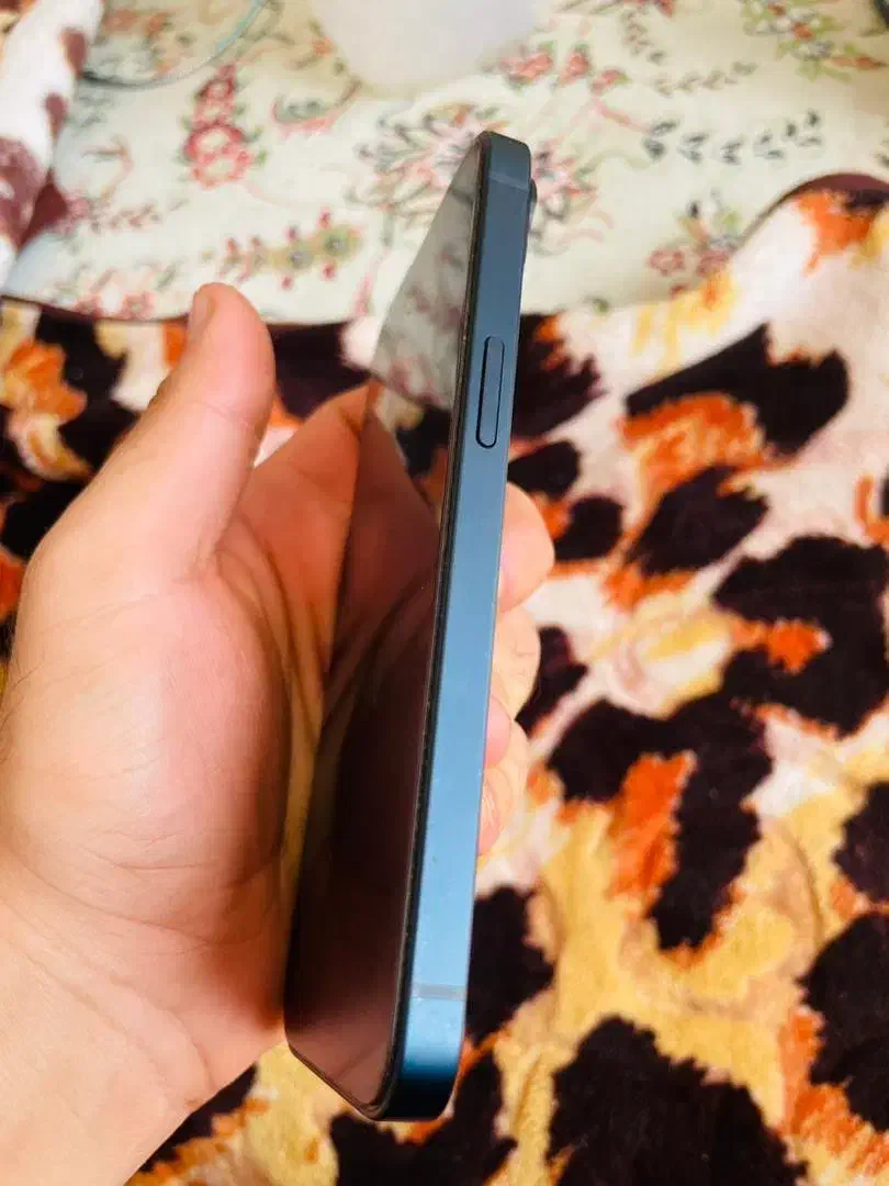 iphone 13|موبایل|برازجان, |دیوار