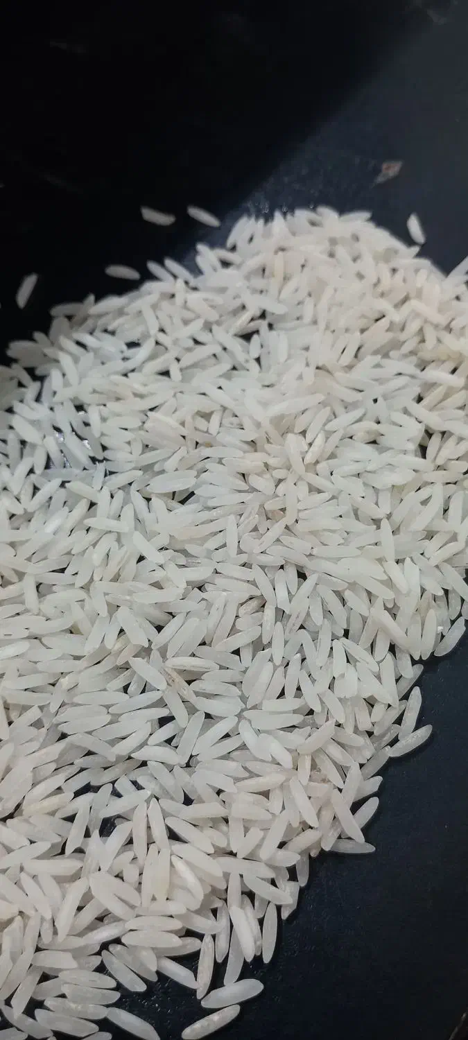 پخش برنج طارم و فجر گرگان اعلا درجه۱|عمده‌فروشی|کرج, گوهردشت|دیوار