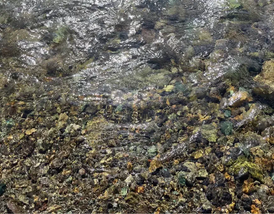 فشم/آپارتمان /نقدی تهاتر|فروش آپارتمان|فشم, |دیوار