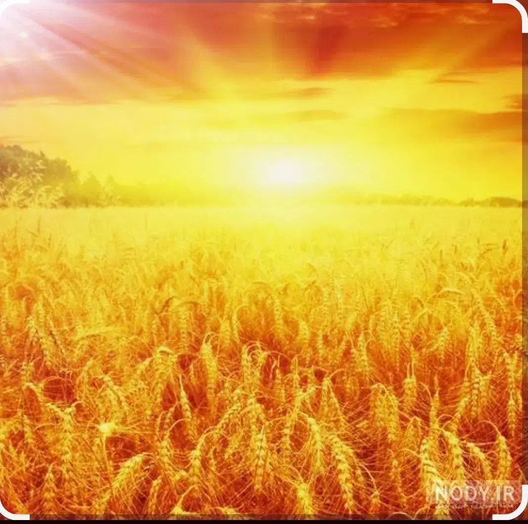 زندگی تو بساز|خدمات آموزشی|قشم, |دیوار